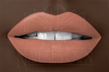 Load image into Gallery viewer, Fall in Love Liquid Lipstick